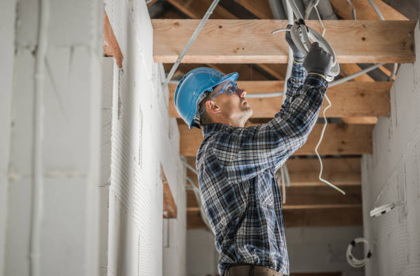Best Electric Panel Repair  in Perryville, MO